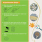 EZ BioResearch Bacteria Science Kit (IV) (Gift Pack): Prepoured LB-Agar Plates and Cotton Swabs. Exclusive Free Science Fair Project E-Book Packed