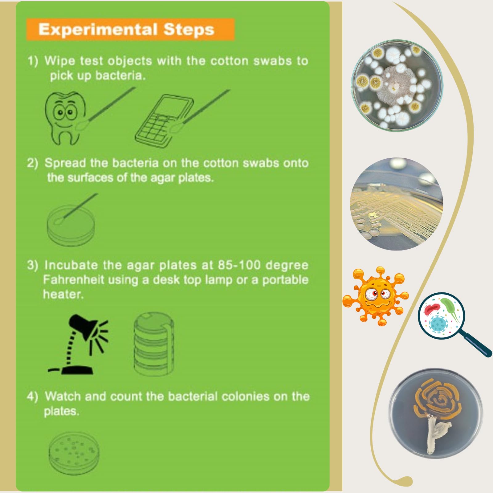 EZ BioResearch Bacteria Science Kit (IV) (Gift Pack): Prepoured LB-Agar Plates and Cotton Swabs. Exclusive Free Science Fair Project E-Book Packed