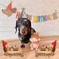 2 PCS Dog Foil Balloons Dachshund Dog Mylar Balloons Cute Puppy Balloon for Dogs Theme Birthday Party Decorations