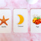 Brainy Baby Animals Flashcards and Shapes & Colors Flashcards Deluxe Edition Set of 2