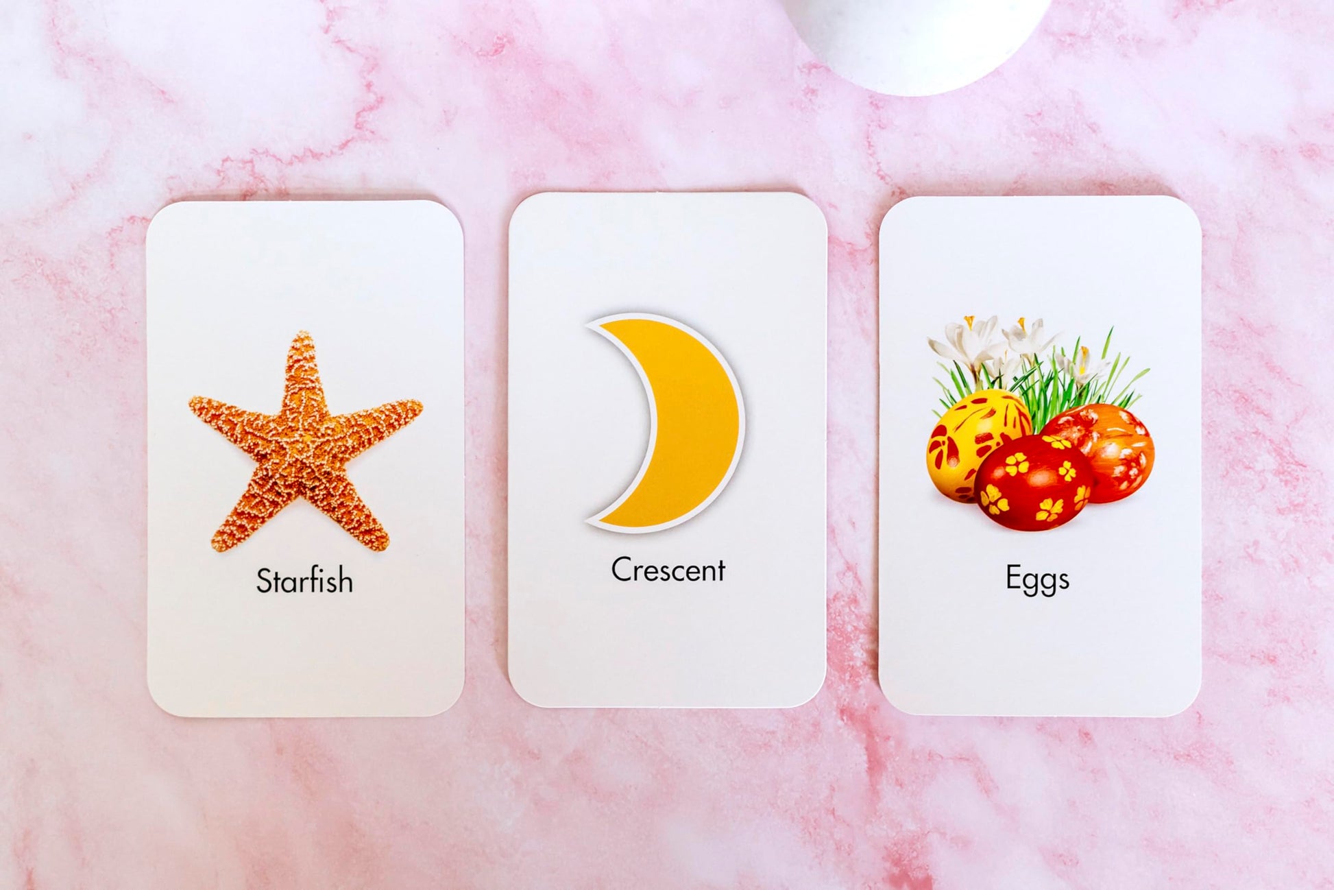 Brainy Baby Animals Flashcards and Shapes & Colors Flashcards Deluxe Edition Set of 2