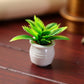 Miniature Plant Accessory, Green Potted Plant, 1:12 Scale, Suitable for Home and car Decoration