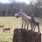 Safari Ltd. Donkey Figurine - Detailed 4" Plastic Model Figure - Fun Educational Play Toy for Boys, Girls & Kids Ages 3+