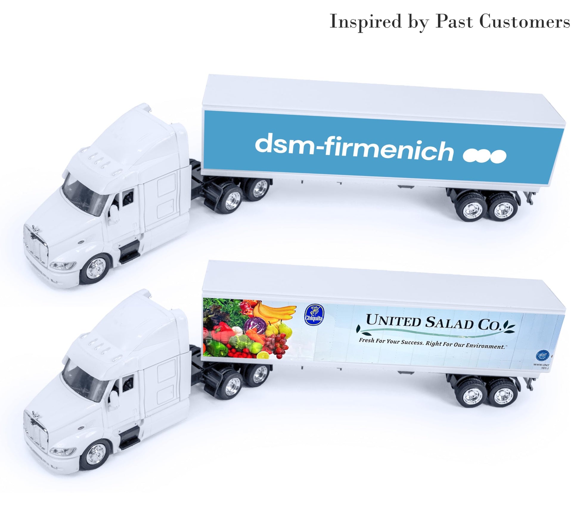 NewRay Replica Peterbilt Personalized Truck 1:43, Long Haul Trucker, Diecast Metal Cab, Custom Truck Style, Dad Gift, Trucker Gift for Collectors