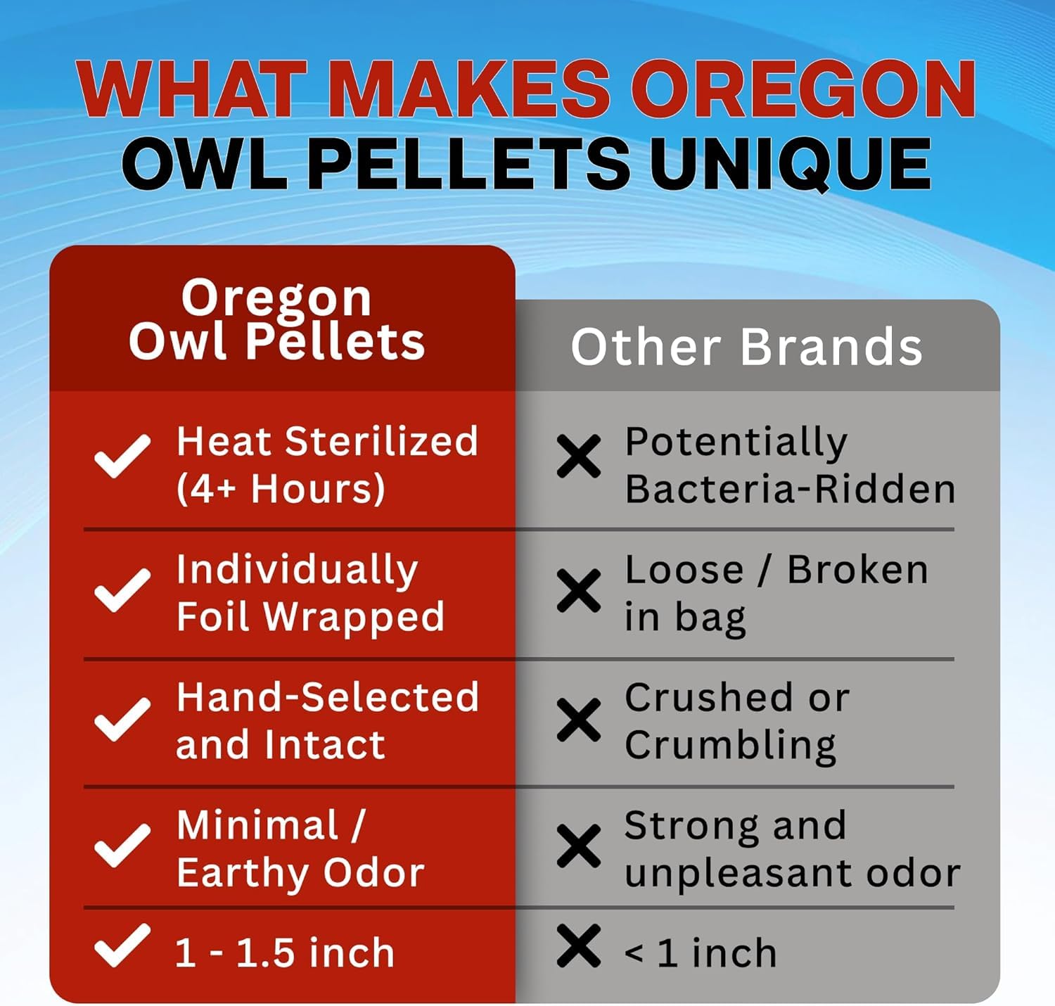 Oregon Owl Pellets Dissection Kit, 6 Large Pellets with Tools and Bone Chart - Classroom Science