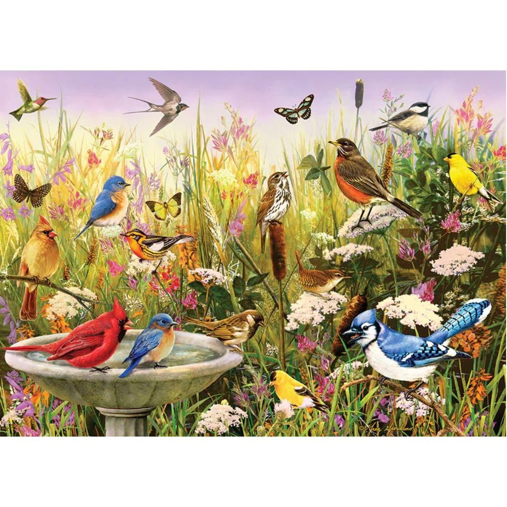 Cobble Hill 1000 Piece Puzzle - Feathered Friends - Sample Poster Included
