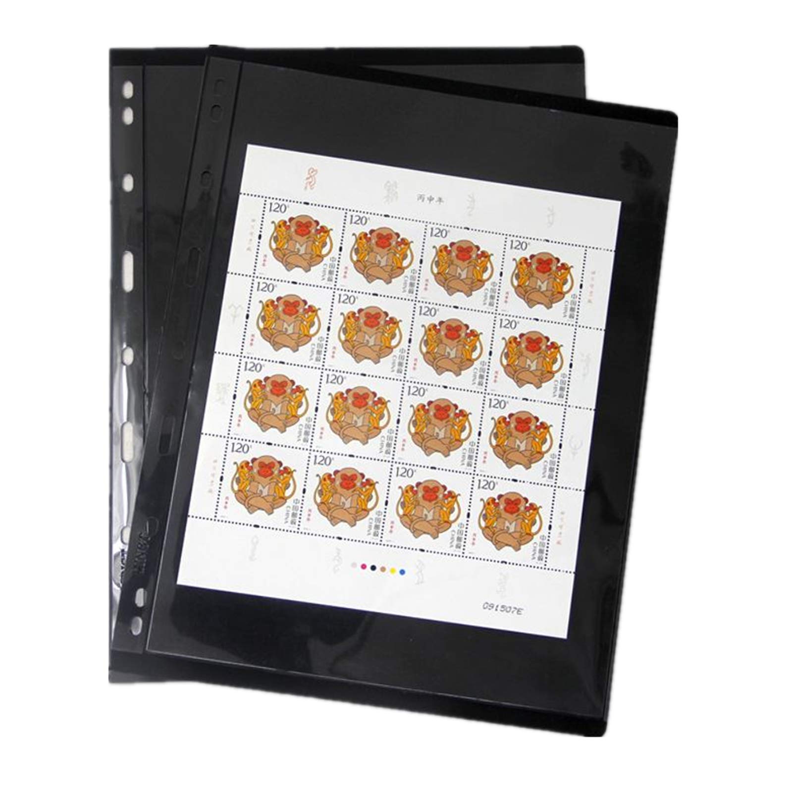 MUDOR Stamp Pages for Stamp Collection Album Binder Book, 10 Sheet 1 Row