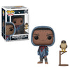 Funko POP! Games: Destiny Hawthorne with Hawk Collectible Figure, Multicolor