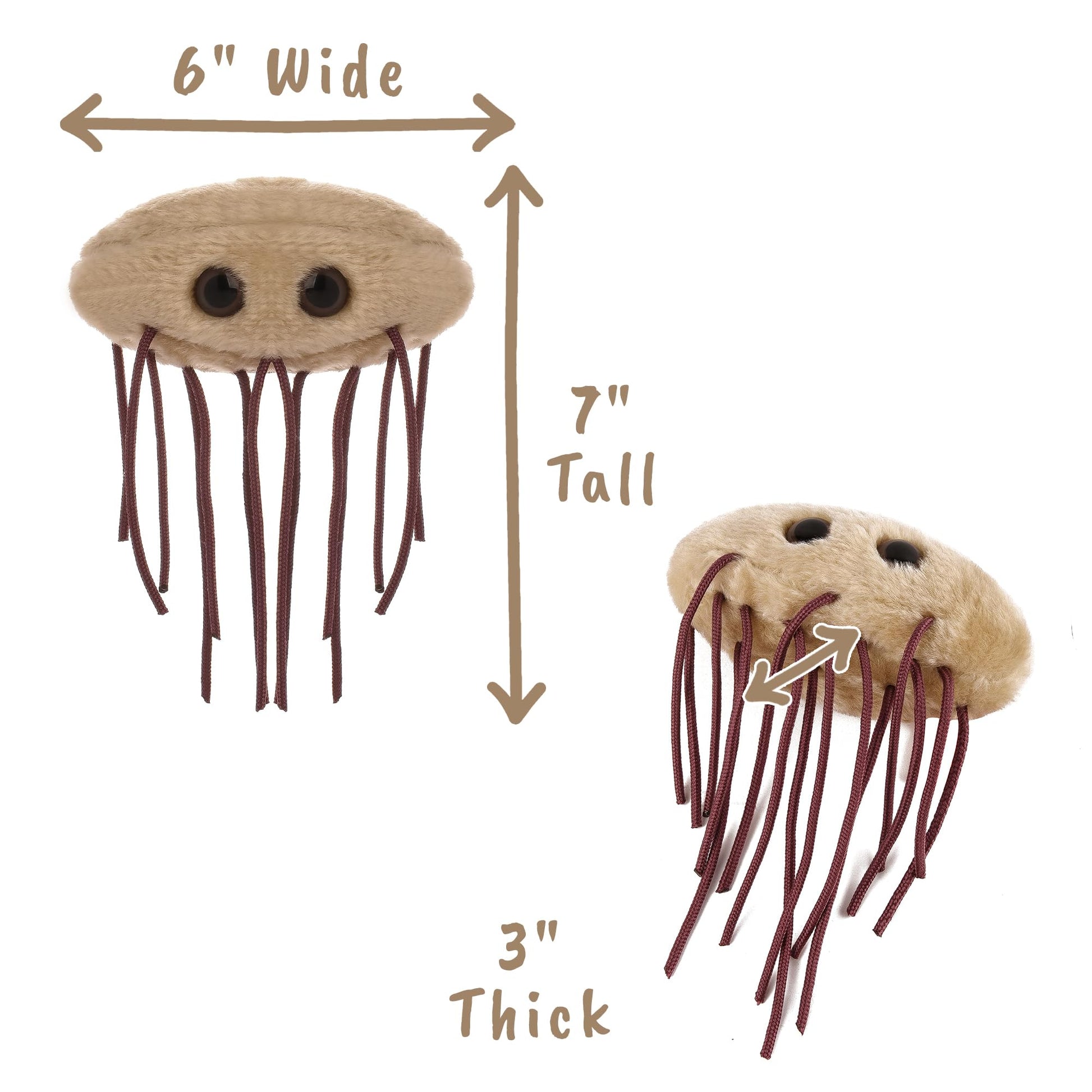 GIANTmicrobes E. Coli Plush, Microbiology Gifts, Gastroenterologist Gift, Gastroenterology Gifts, Gut Microbiome, Medical Laboratory Scientists, Petri