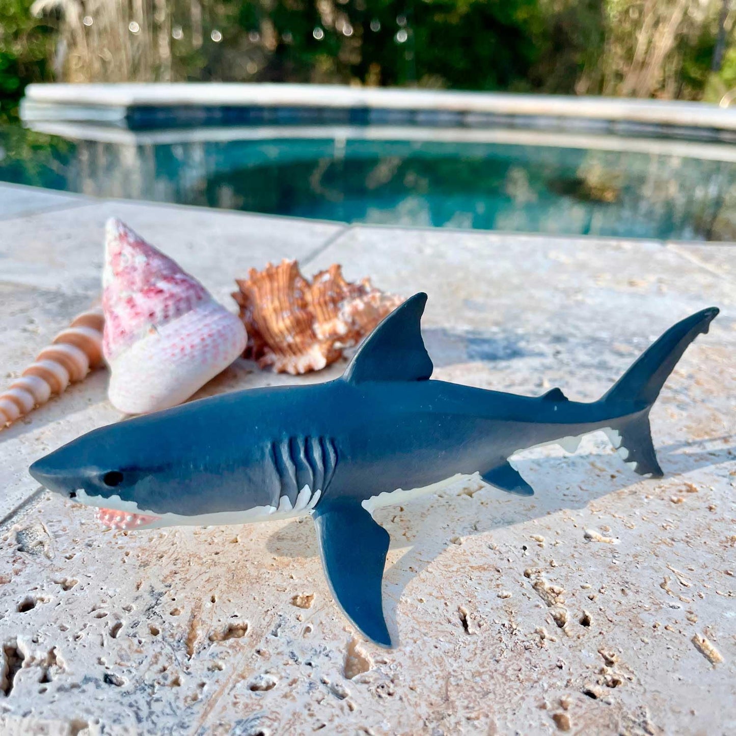 Safari Ltd. Great White Shark Figurine - Lifelike 6.25" Model Figure - Educational Toy for Boys, Girls, and Kids Ages 3+