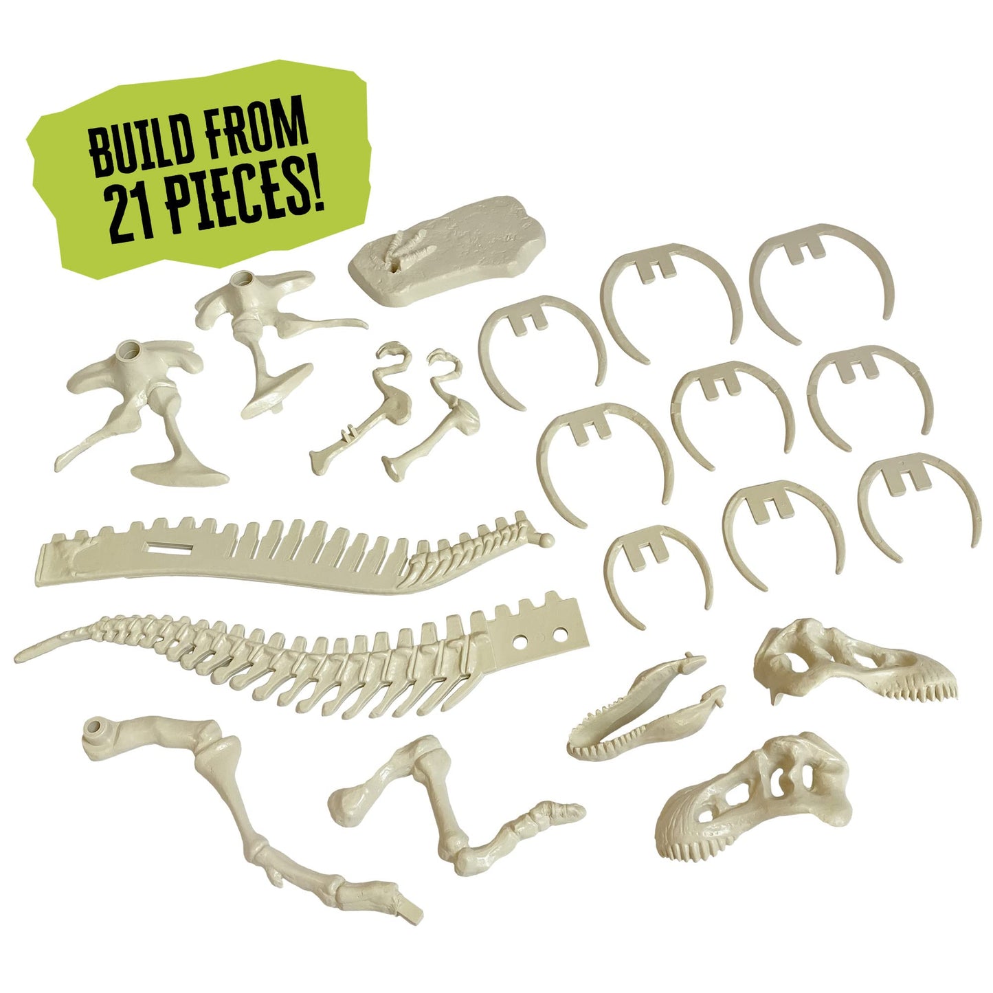 Thames & Kosmos Giant Dinosaur: T. Rex Skeleton Model | STEM Activity | Build a 26-in Long T. Rex Skeleton | Explore Paleontology & Learn Fun Dino