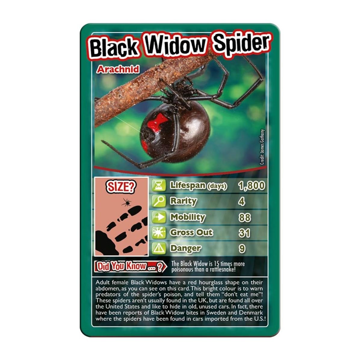 Top Trumps Card Game Bugs - Family Games for Kids and Adults - Learning Games - Kids Card Games for 2 Players and More - Kid War Games - Card Wars