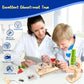 6-in-1 STEM Science Kits for Kids, Wood Arts and Craft Kits, STEM Toys for Boys Girls Age 8-12 5-7 8 10 12 13 14 Gift Idea, 3D Puzzles Building