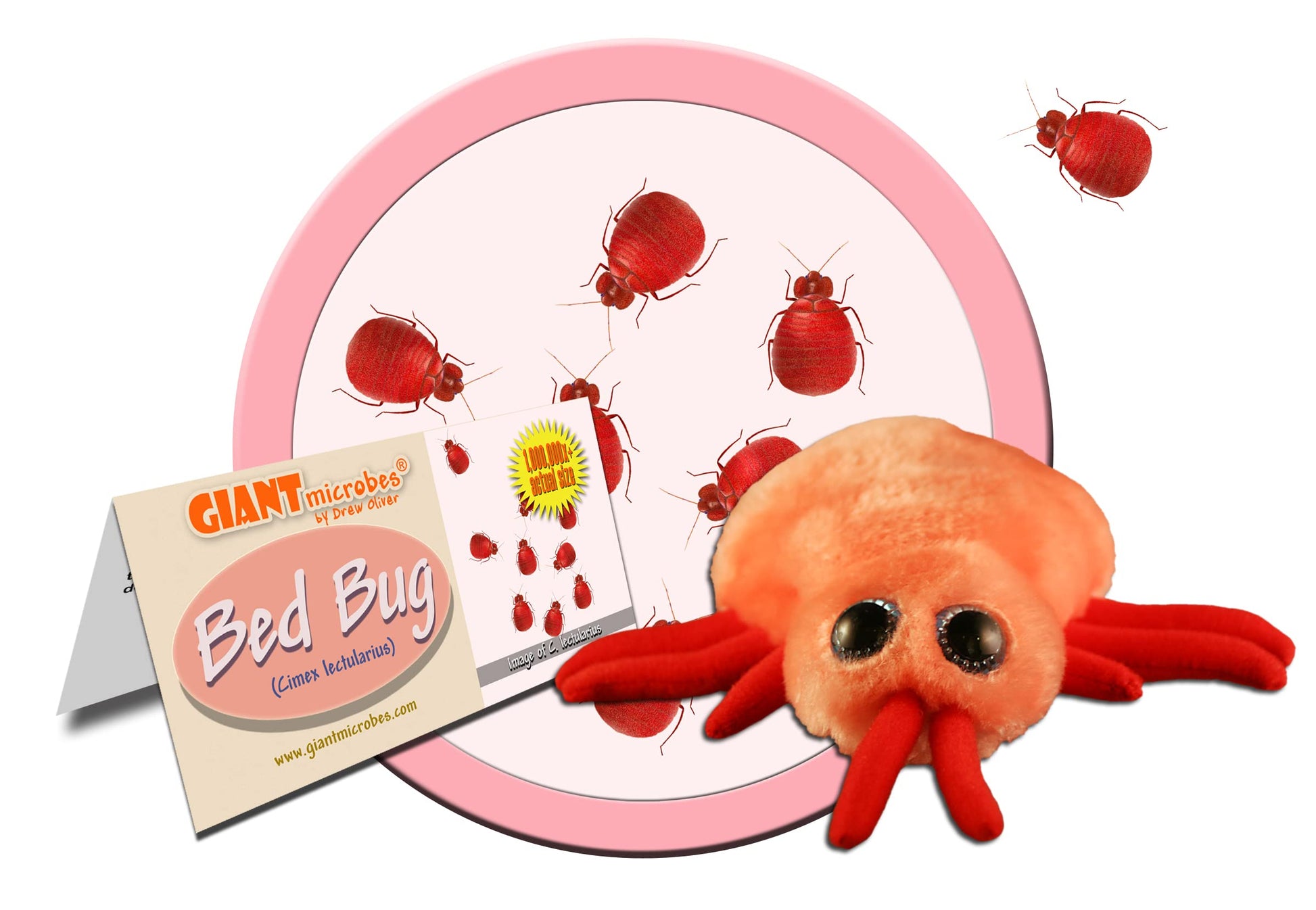 GIANTmicrobes Bed Bug Plush - Learn About This Common Crawler with This Cuddly Plush, Unique Gift for Friends, Family, Educators, Students