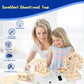 6-in-1 STEM Science Kits for Kids, Wood Arts and Craft Kits, STEM Toys for Boys Girls Age 8-12 5-7 8 10 12 13 14 Gift Idea, 3D Puzzles Building