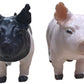 Little Buster Toys Show Pig Pair - Yorkshire and Hampshire, 2 Pack