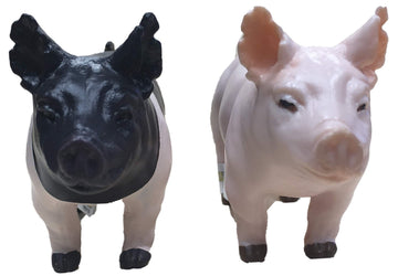 Little Buster Toys Show Pig Pair - Yorkshire and Hampshire, 2 Pack