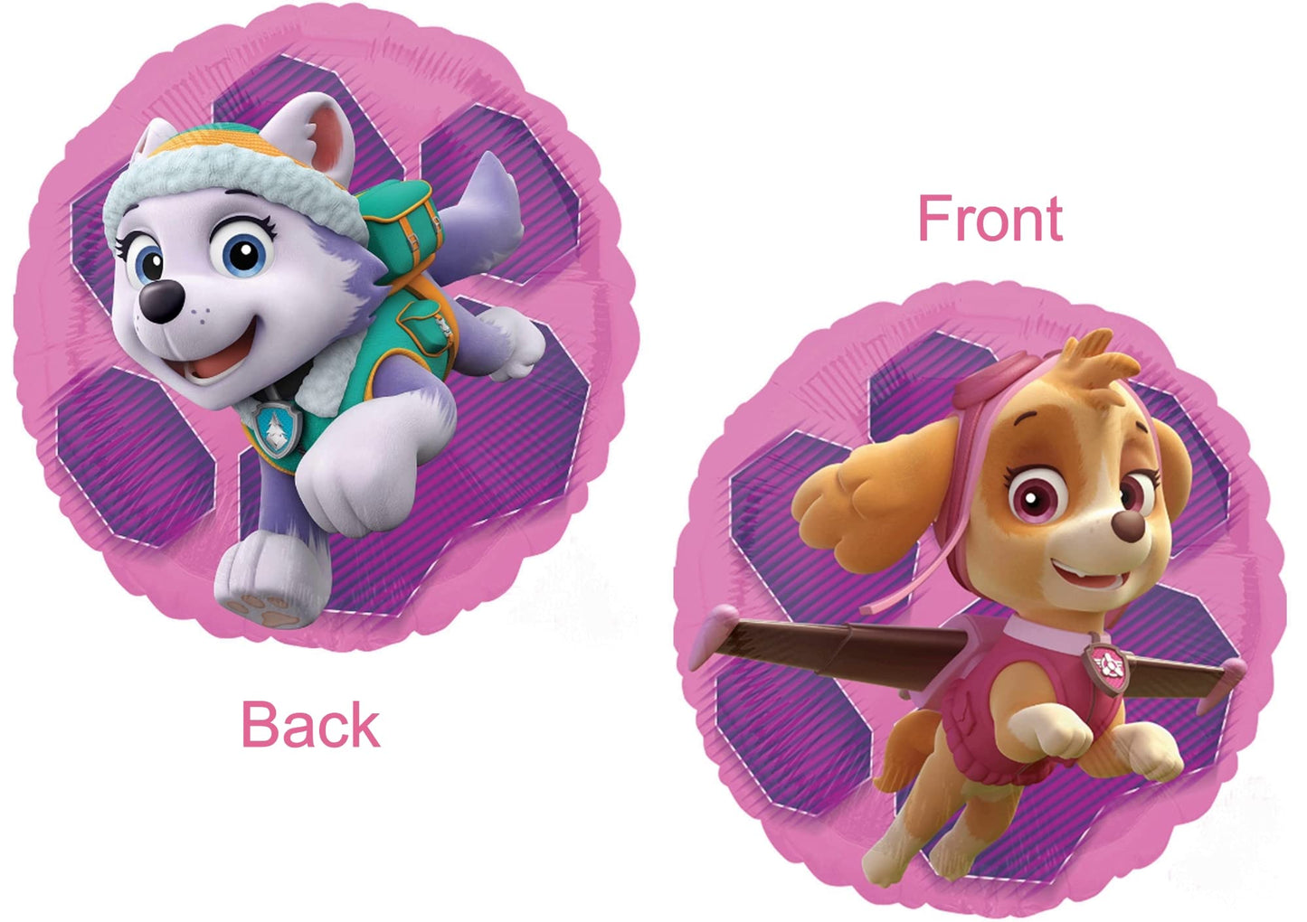 Skye Everest 3rd Birthday Party Supplies Girl Paw Pups on Patrol Balloons