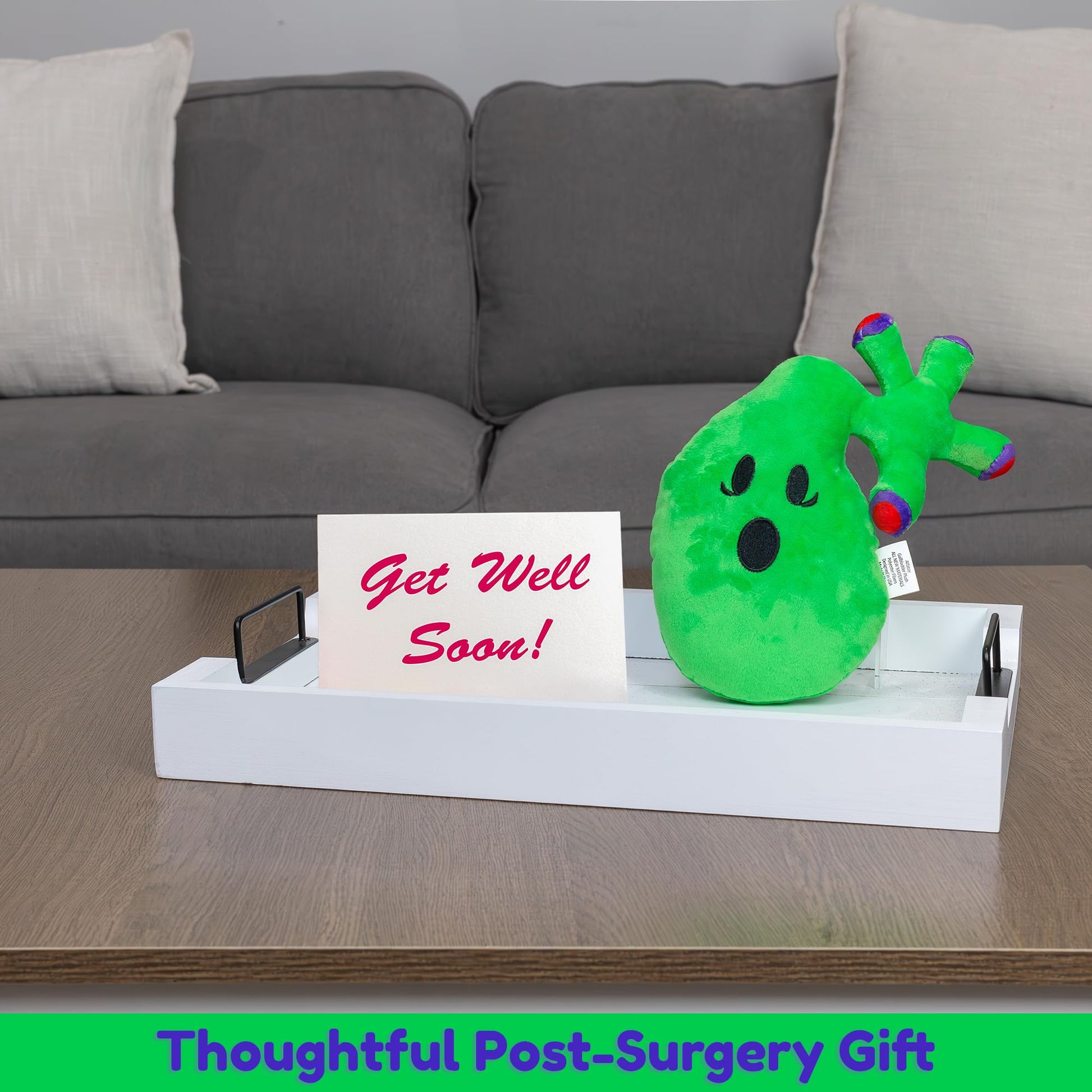 Attatoy Gallbladder Plush, Body Organ Stuffed Toy Complete with Gallstones