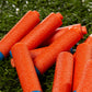 Nerf N Series N1 Darts, Includes 100 Darts, Compatible Only with Nerf N Series Blasters, Outdoor Games, Ages 8+ (Amazon Exclusive)
