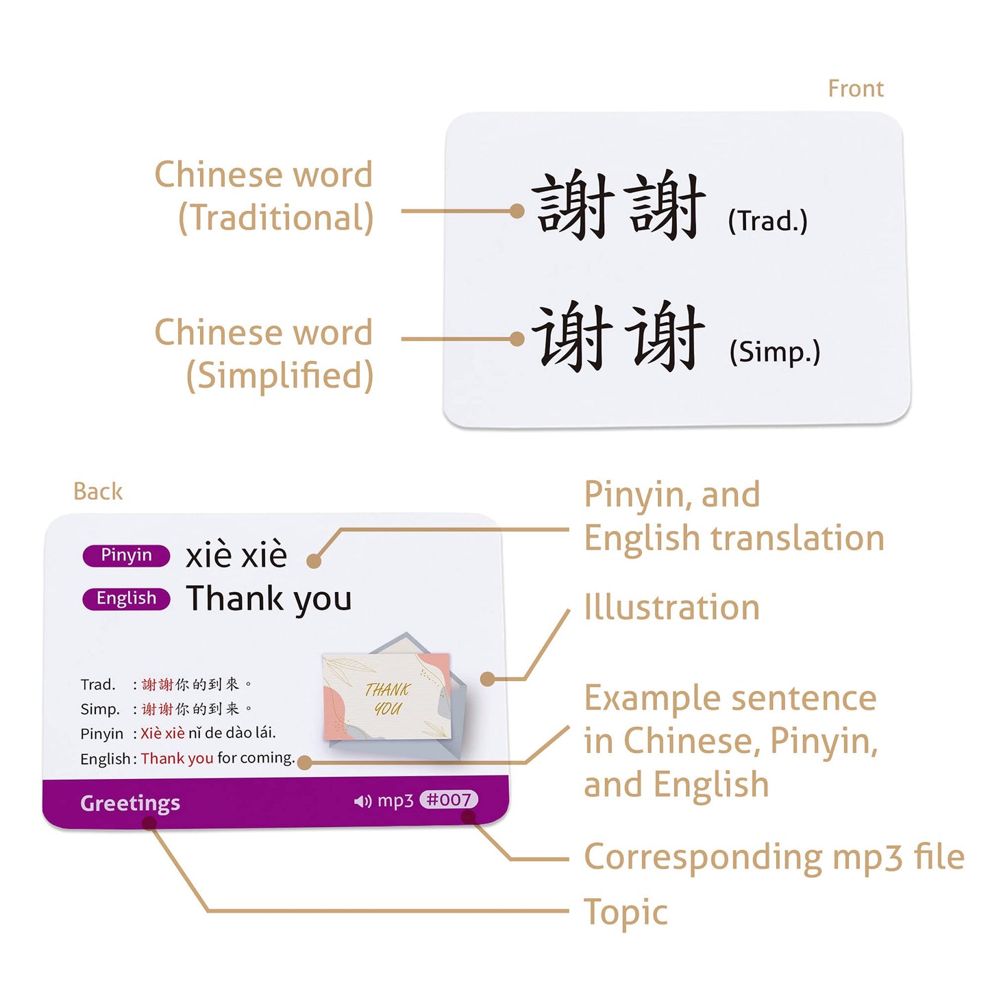 CARDDIA | Chinese Mandarin Vocabulary Flashcards for Beginners | Traditional and Simplified Chinese | Example Sentences and Audio MP3