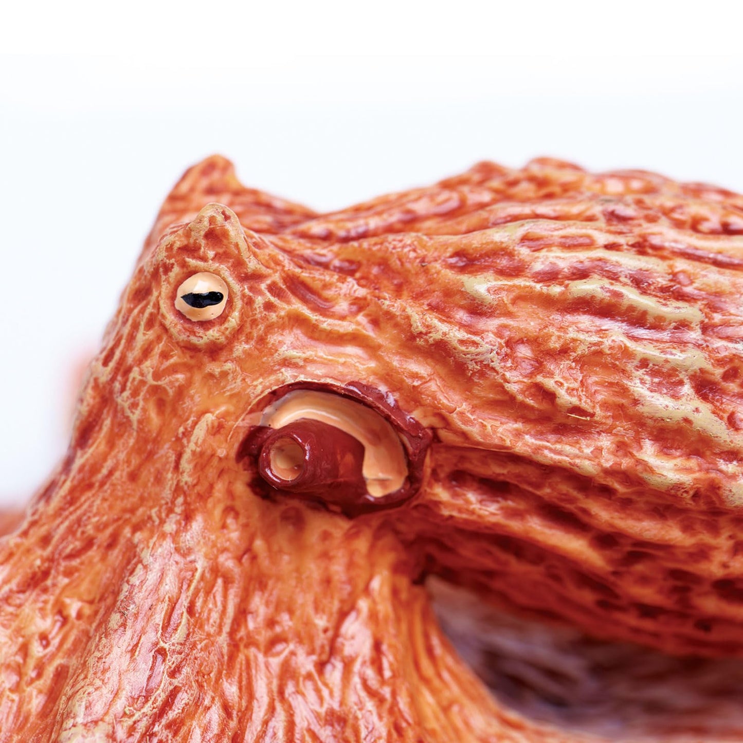 Safari Ltd. Giant Pacific Octopus Figurine - Lifelike 8" Model Figure - Educational Toy for Boys, Girls, and Kids Ages 3+