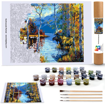 Ledgebay DIY Paint by Numbers Kit for Adults Unframed Canvas: Beginner to Advanced Paint by Numbers Kit Kits Include Acrylic Paint set 4 Brushes