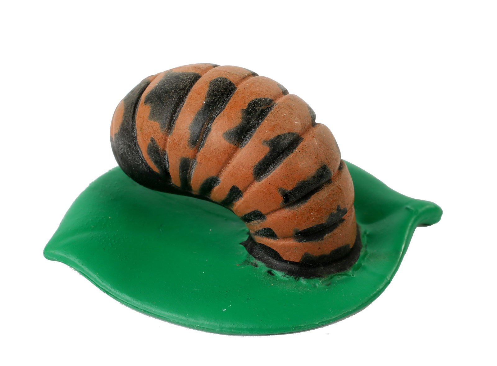 Insect Lore Ladybug Life Cycle - 4 PC Insect Figure Shows Life Of Lady Bug
