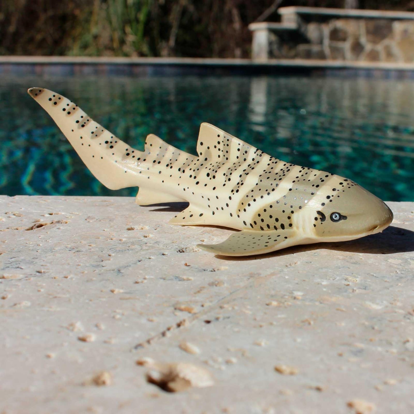 Safari Ltd. Zebra Shark Figurine - Detailed 4.75" Plastic Model Figure - Fun Educational Play Toy for Boys, Girls & Kids Ages 3+