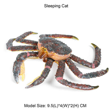 JOKFEICE Animal Figures Realistic Plastic King Crab Science Project, Learning Educational Toys, Birthday Gift, Cake Topper for Kids Toddlers