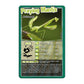 Top Trumps Card Game Bugs - Family Games for Kids and Adults - Learning Games - Kids Card Games for 2 Players and More - Kid War Games - Card Wars