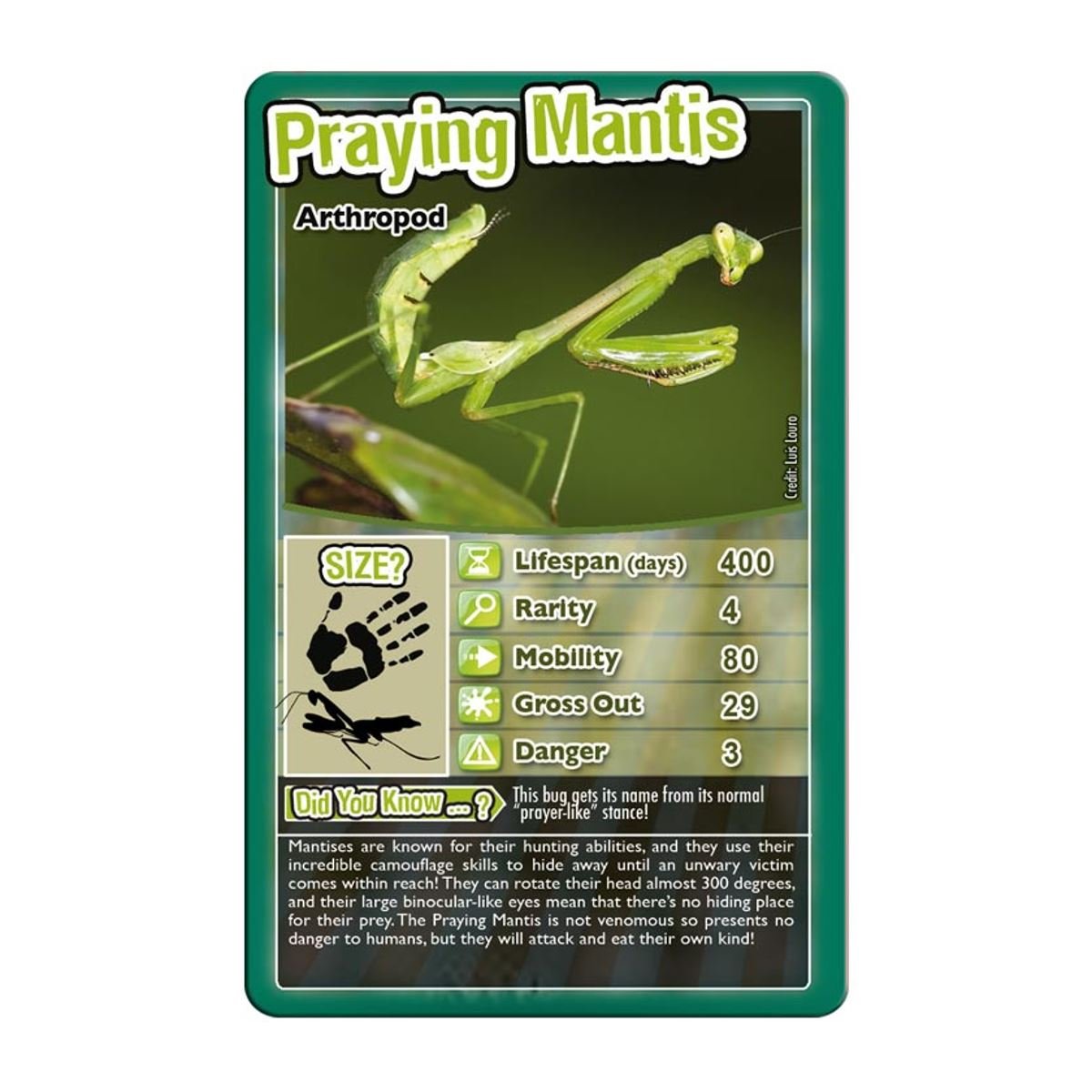 Top Trumps Card Game Bugs - Family Games for Kids and Adults - Learning Games - Kids Card Games for 2 Players and More - Kid War Games - Card Wars