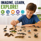 Safari Ltd. Great Lakes TOOB - Figurines of Mudpuppy, Dragonfly, Water Snake, Bat, Goose, Herring Gull, Blue Heron, Lynx, Sturgeon, Yellow Perch