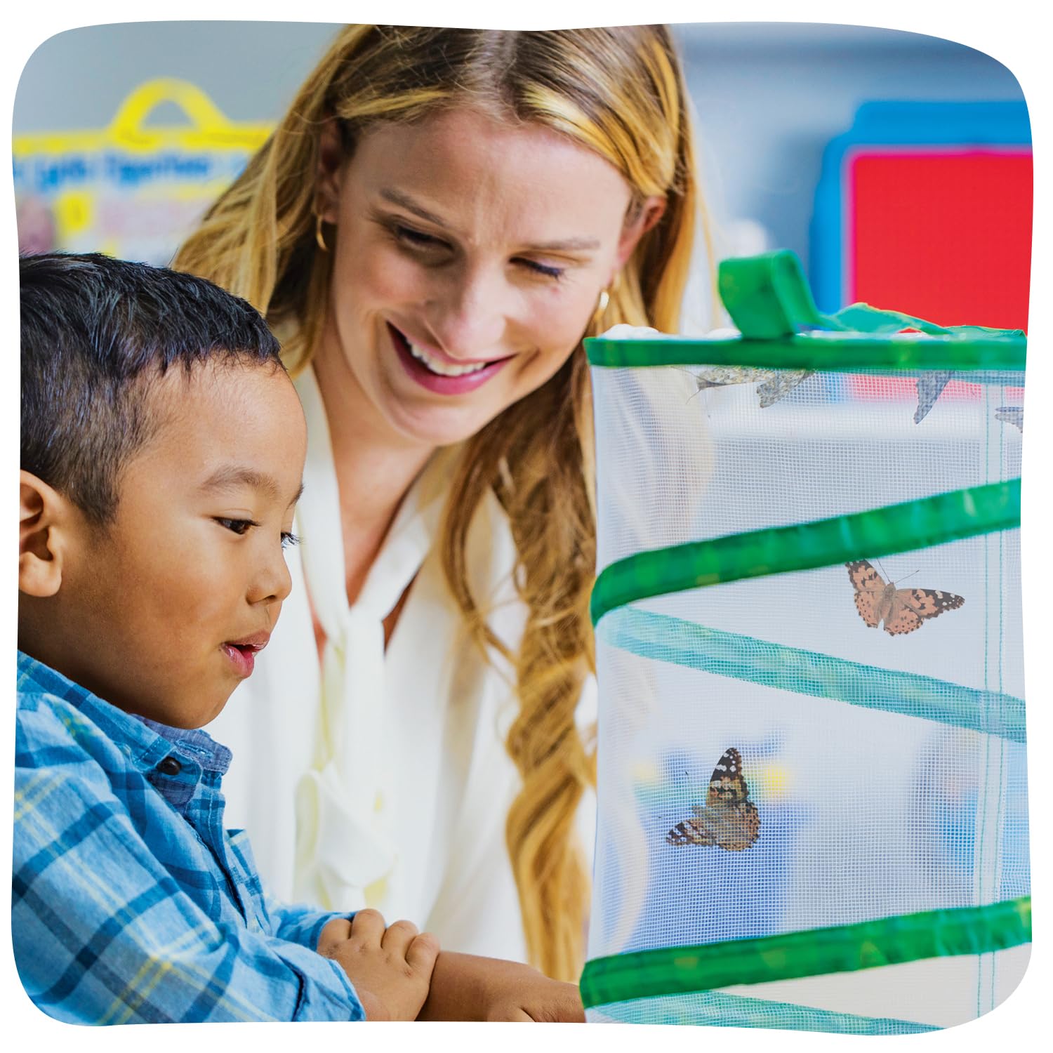Insect Lore Raise and Release Butterfly Garden Kit - Caterpillar Habitat with redeemable Voucher - STEM-accredited Butterfly Growing Kit for Kids