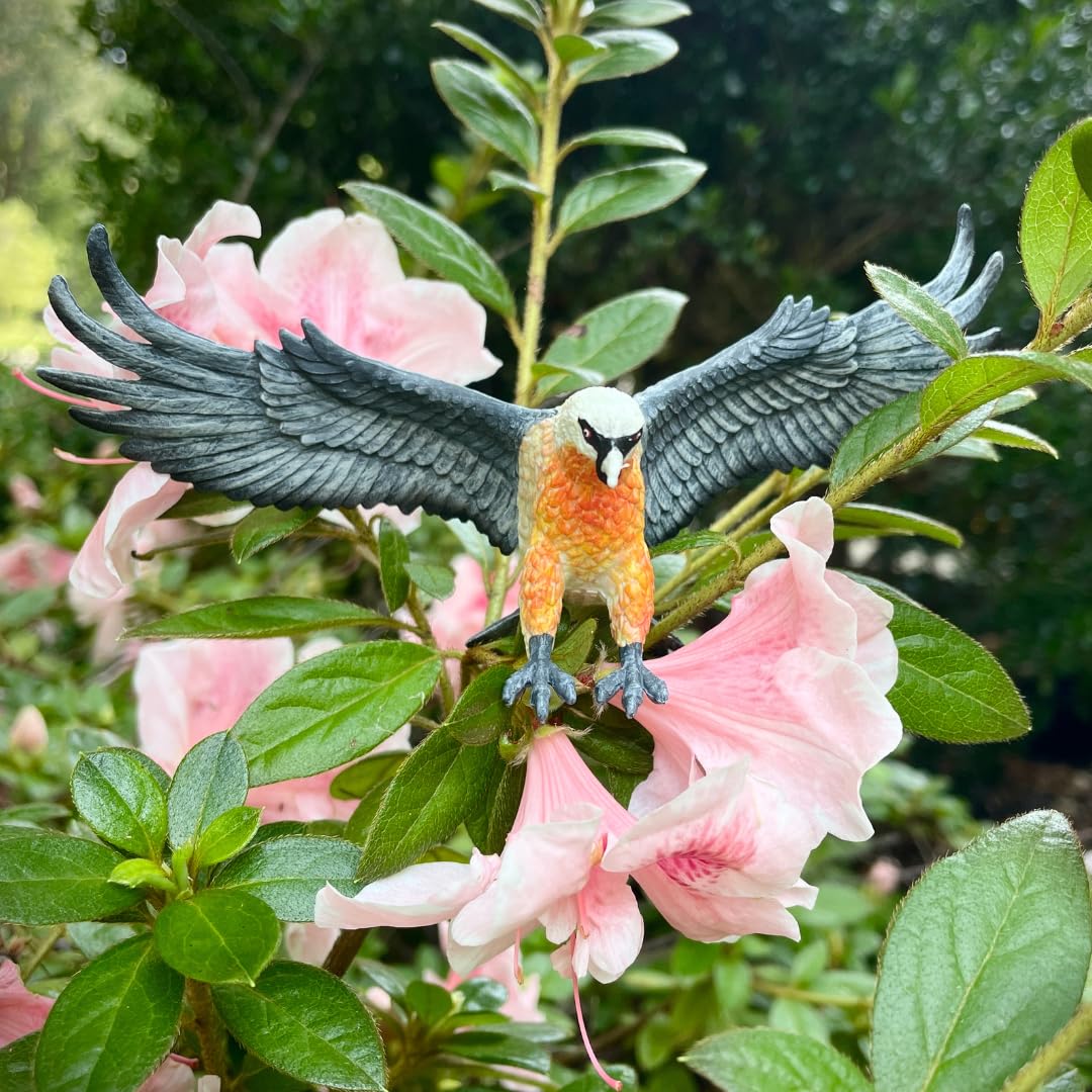 Safari Ltd. Bearded Vulture Figure - Realistic 5.5" Bird Model - Educational Toy for Boys, Girls, and Kids Ages 3+