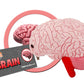 GIANT MICROBES Brain Plush - Anatomical Brain with Embroidered Details