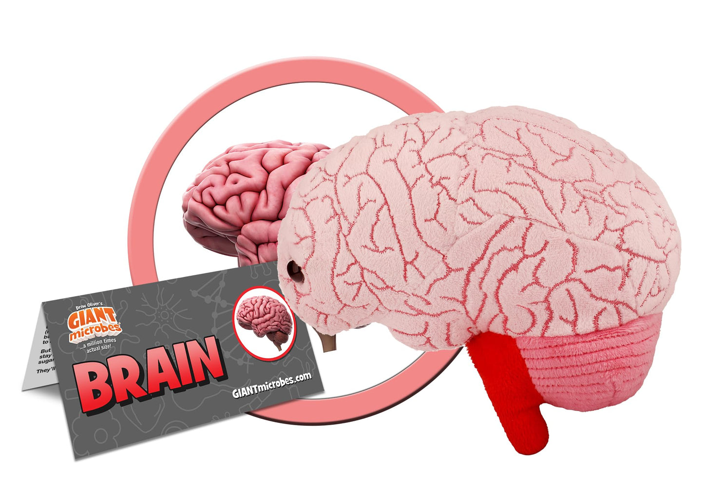 GIANT MICROBES Brain Plush - Anatomical Brain with Embroidered Details