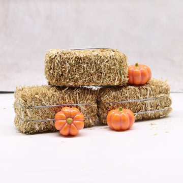 Mini Hay Bale with Pumpkins Set, Miniature Straw Bale, Dollhouse Miniature Hay, for Fall Miniatures, Mini Halloween, Dollhouse, Fairy Garden