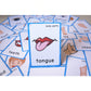 SANTSUN 36 Pieces of My Body Parts Flash Cards for Toddlers- The Flash HolePunched- So You can sort and Organize The Cards Easily and Early Learning