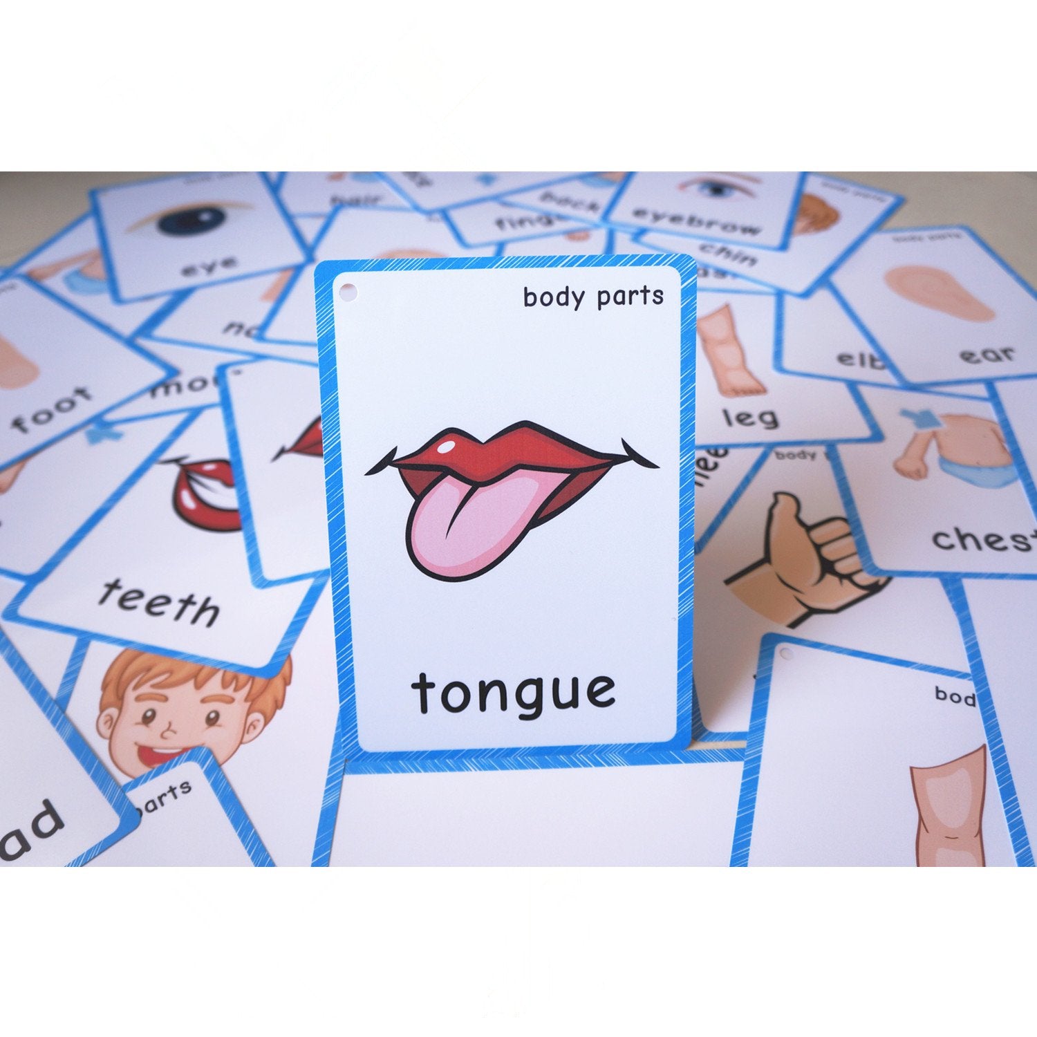 SANTSUN 36 Pieces of My Body Parts Flash Cards for Toddlers- The Flash HolePunched- So You can sort and Organize The Cards Easily and Early Learning