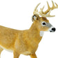 Safari Ltd. Whitetail Buck Figurine - Realistic 7.25" Wildlife Figure - Educational Toy for Boys, Girls, & Kids Ages 1+