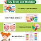 Freebear Montessori Busy Book for Kids, Human Body Anatomy Book for Toddlers, Preshool Kindergarten Learning Activities, Autism Sensory Toys, Travel