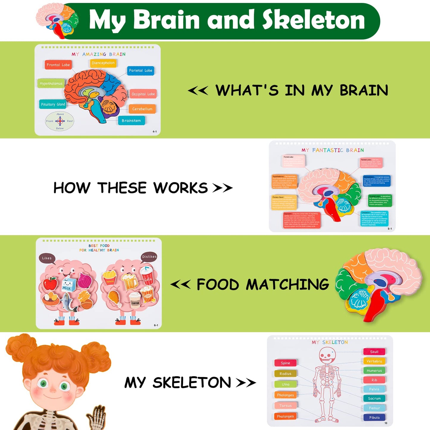 Freebear Montessori Busy Book for Kids, Human Body Anatomy Book for Toddlers, Preshool Kindergarten Learning Activities, Autism Sensory Toys, Travel