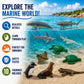 Safari Ltd. Endangered Marine Species TOOB - Figures of Whales, Marine Iguana, Galapagos Penguin, Sea Lion, Spotted Eagle Ray, Sawfish, Hammerhead