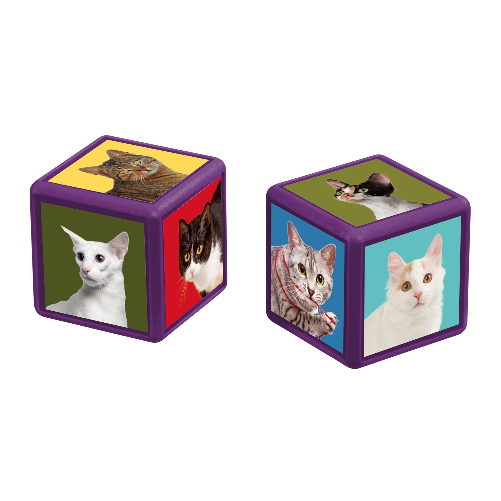 Top Trumps Match Game Cats - Family Board Games for Kids and Adults - Matching Game and Memory Game - Fun Two Player Kids Games - Memories