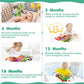 beiens Baby Books Toys, Touch and Feel Crinkle Cloth Book for Infant Baby 0-3-6-12-18 Months, Early Development Interactive Stroller Soft Toys