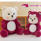 Bilibang Cartoon Plush Cross-Dressing Teddy Bear Plush Toy, Cute Teddy Bear with Removable Stitchhat (Pink StrawberryBear, 11 inch / 0.5 lb)
