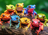 Cross & Glory | 1000 Piece Jigsaw Puzzles for Adults | Rainbow Ribbit