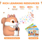 Phonics 55 Double-Sided Flash Cards with Squirrel Talking Pen Set, Over 800 Words Early Educational Learning Toys for Ages 2-6, Interactive Speech