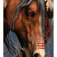Ceaco - Treasured Ride - 500 Piece Jigsaw Puzzle for Adults